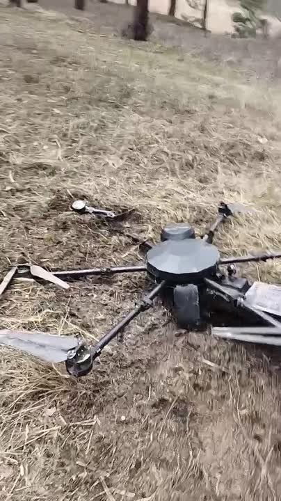 ������ �������: ����������� �����������. �� �������� ������� ��������� ����� ������� 204-�� ����� ������������ �������� �����һ �� �� @AptiAlaudinovAKHMAT