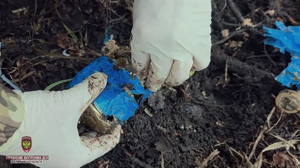 ����� �������� ������ ��� ��� ����������� ������� ����� ���������� FPV-����, ����������� ��������� �������������� ���