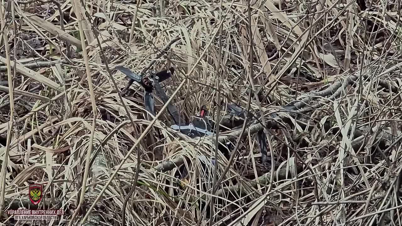 Уничтожен дрон ВСУ с наркотиками предназначавшийся для нациков из "Хартии"
