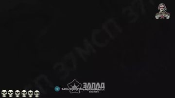 Записки ветерана: Хорошая нарезка свинореза на Купянском направлении