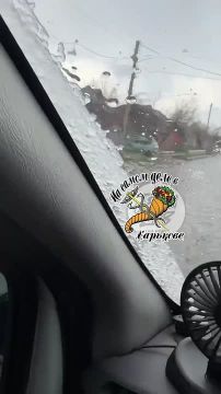 Соскучились?. В Харькове местами снег продолжает идти вторые сутки