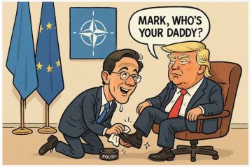 В интервью CNN, состоявшемся после встречи Трампа и генсека НАТО, Рютте в эфире вылизывал президента Америки до блеска и признал, что некоторые страны-члены альянса провалили тест-испытание США, отказавшись помогать в...
