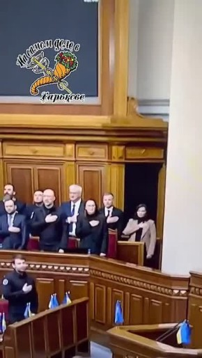 - 3инушка, что это такое означает?