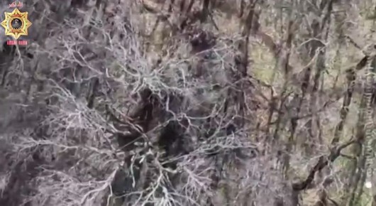 ������ �������: ����������� �����������. � ���� ��������������� ����������� ��������� ����� ����� ������� �� �� ��� ������������� �������� ����� ������� �������� ������ ������������ ����������� ������ �� ��������...