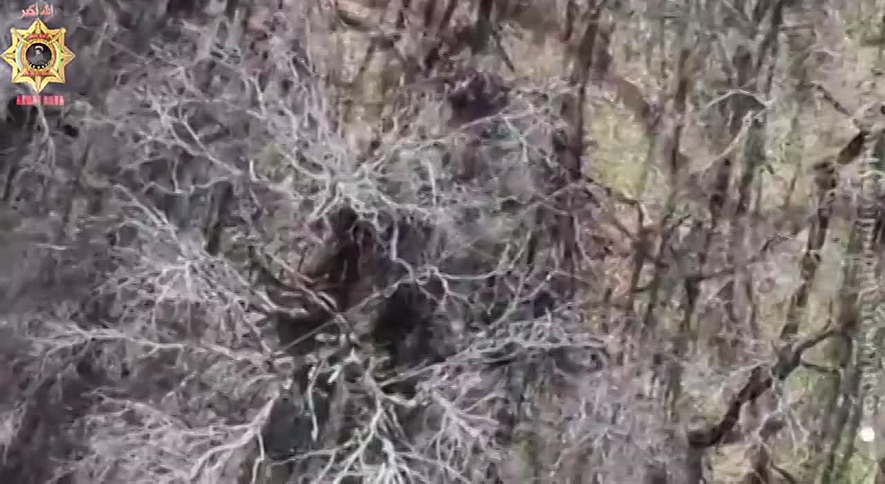 Рамзан Кадыров: Харьковское направление. В зоне ответственности стрелкового батальона имени Шейха Мансура МО РФ под командованием дорогого БРАТА Муслима Товзаева «Пуля» продолжается планомерная работа по снижению...