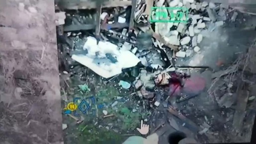 Скопытившийся свин с Купянска