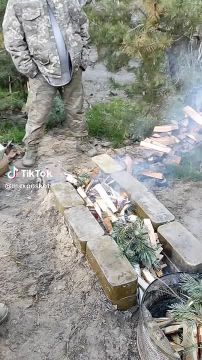 «Нерабы», которые кричали, что снесут на майдане любую неугодную власть