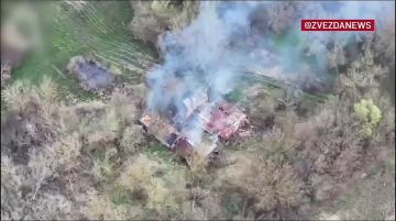 ����� ������������ ������ ����������� �������