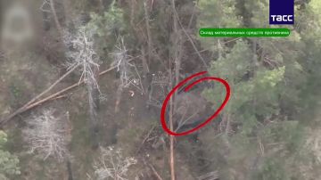 ����� ������������ �������� ��� ���������� ������� ������ � ����������� �������