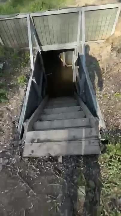 ���������� ������ �������