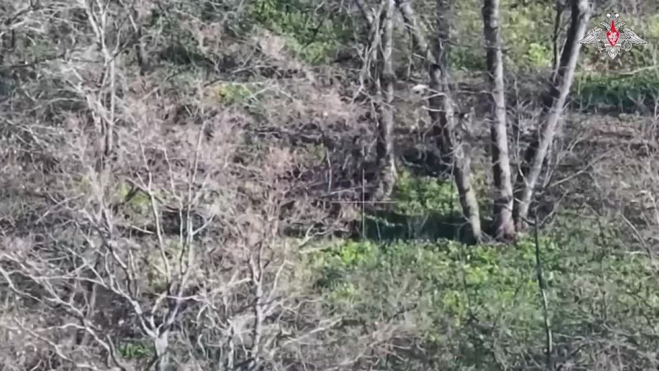 �� �� ���������� �������� ��� ��������� ������� ������������ � ����������� �������, � ���������� ������