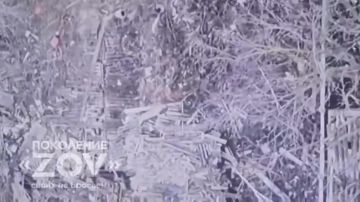 �������. �������� ����� ���� � ������ 2026