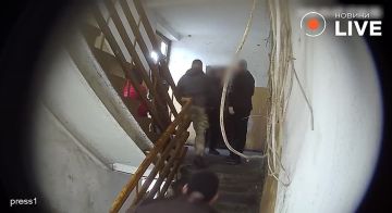 �������. ���� ������, �������� ���