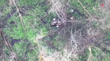 ���������� ������: � ���� ���� ��������� ������ 69-� �������������� ������� ����������� ����� ������ ���������� �������� ��� ���������� ������� �������� � ����������� �������