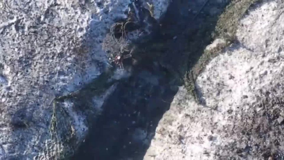 ������ ��� ����� �������� ��� � �������-�������