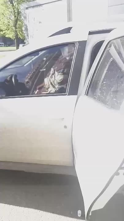 ����������, �. �������. ������V �������� � MAX
