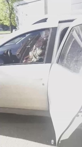 ����������, �. �������. ������V �������� � MAX