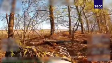 ����� ������������ �������� ��� ���������� ������� ��������� � ����������� �������