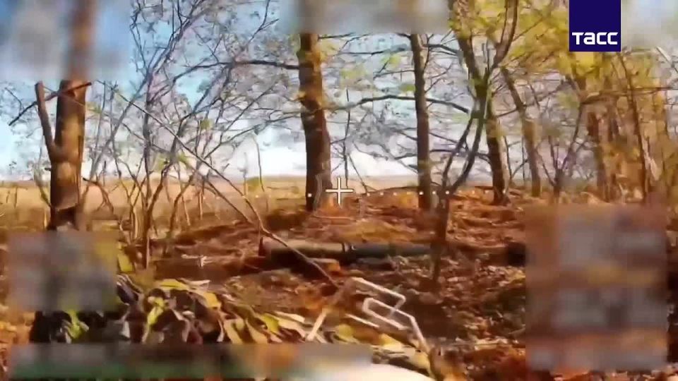 ����� ������������ �������� ��� ���������� ������� ��������� � ����������� �������