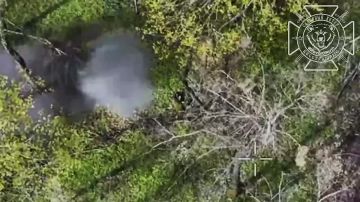 ���������� ��������� ������ ��� �� ��������� ����������� �������� � �������