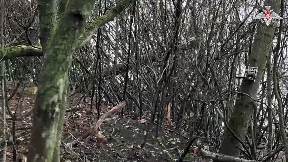 ������� ������ �-72�3� 11-�� ���������� ������� ����������� ����� ������ ���������� ������� ������ � ����� ���� ��� � ����������� �������