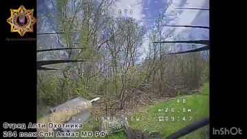 ���� ���������: ����������� ��������� ���������������� ������ ����������