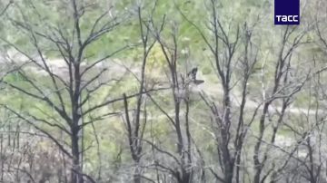 ��������� ���� ���������� �������, ����� � ������ ���������� ������� ��� �� ����������� �����������