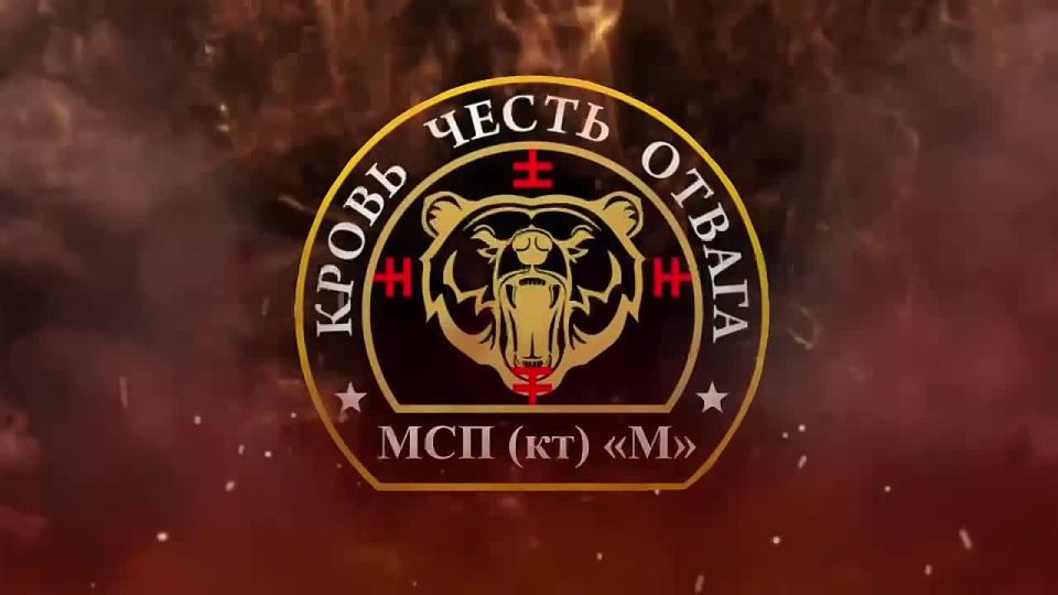 УДАР ПО ПВД ПРОТИВНИКА н.п. Осиново