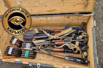 Харьковская область входит в число регионов с наибольшим количеством оружия, находящегося в розыске