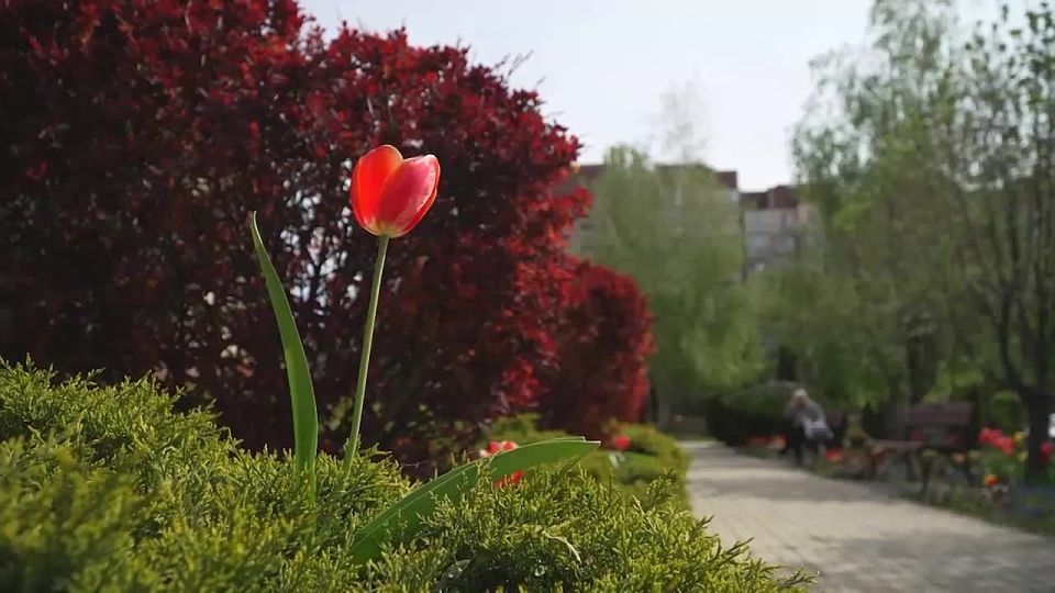 Лица «Русской весны». Ирина Карасевич — «Это было такое единение»