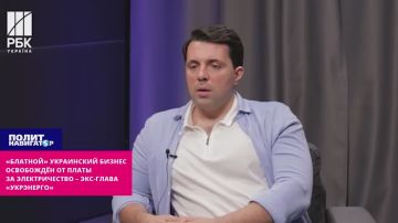 «Блатной» украинский бизнес полностью освобождён от платы за электричество – экс-глава «Укрэнерго»