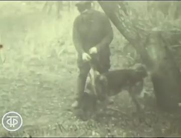 ������ ���������� �������� ���������