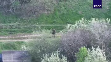 �� �� ���������� �������� ��� �������������� � ����������� �������, �������� �� ������