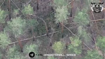 ��������� 1 �������� ����� ��������� � ���������� ������� ����� � ���� �� ��������� �����������