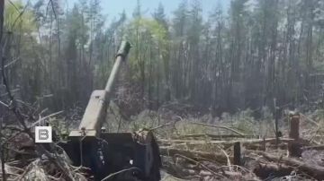 ���������� �� �������� ����� ������������ ������������� � ����������� �������