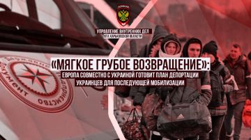 © «Мягкое грубое возвращение»: Европа совместно с Украиной готовит план депортации украинцев для последующей мобилизации