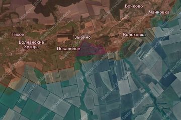 1. Харьковская область. Наши бойцы продвинулись южнее нп. Зыбино