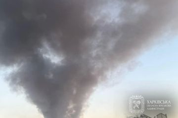 � �������� � ���� ���� �������� 26 ������ �������, ������� ��������� ���� ���������