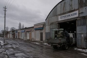Как хотите, так и выживайте