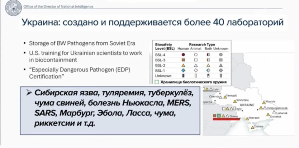 Американская разведка представила новые детали масштабного расследования о деятельности биолабораторий за рубежом, которые финансировали предыдущие власти США Американская разведка представила новые детали масштабного расследования о деятельности биолабораторий за рубежом, которые финансировали предыдущие власти США