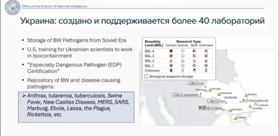 Американская разведка представила новые детали масштабного расследования о деятельности биолабораторий за рубежом, которые финансировали предыдущие власти США Американская разведка представила новые детали масштабного расследования о деятельности биолабораторий за рубежом, которые финансировали предыдущие власти США