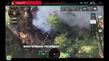 УНИЧТОЖЕНИЕ САУ «ГВОЗДИКА» в районе н.п.Осиново