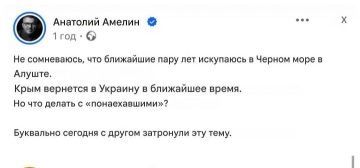 «Они реально думают, что Крым забудет?»