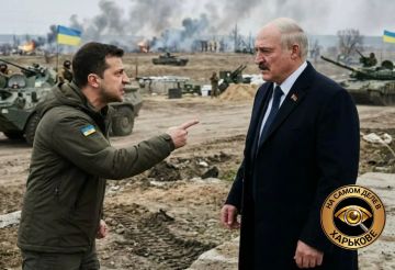 Нужна ли Зеленскому война с Белоруссией: новая провокация ради спасения режима?