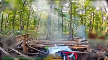 ������������ ���������� ���� ��� �� ����������� �����������