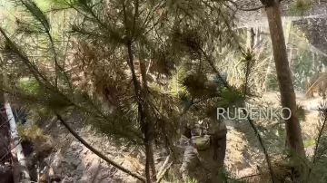 ������ �������: ������������ 6-� ����������� ������������� ����� ����������� ������ ������� ������� ��������� �� ������� ������� � ����������� ���������� �� ����������� �����������