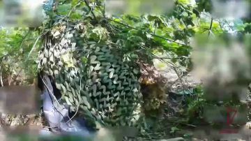 ����� ��������� ������� ���������� ���������� ������ ���� ����������