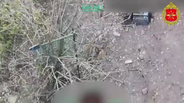 Минобороны России: 00:00 Операторы БПЛА 1431-го мотострелкового полка 11-го армейского корпуса группировки «Север» ликвидировали живую силу и блиндаж ВСУ в Харьковской области