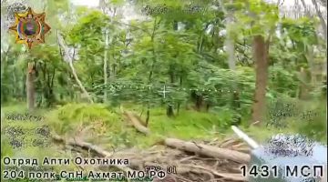 ���� ���������: ����������� ������ ���������� ���� �������� ���� "���������"