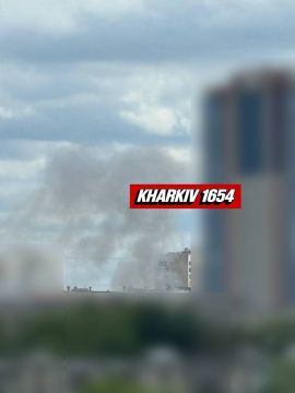Юлия Витязева: Харьков. Минус заправка